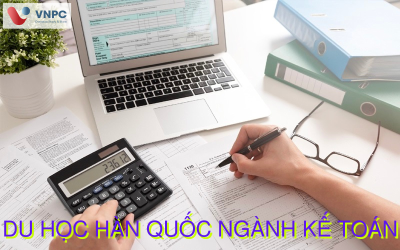 Du học Hàn Quốc ngành Kế toán: Lộ trình, chi phí, việc làm